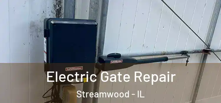  Electric Gate Repair Streamwood - IL
