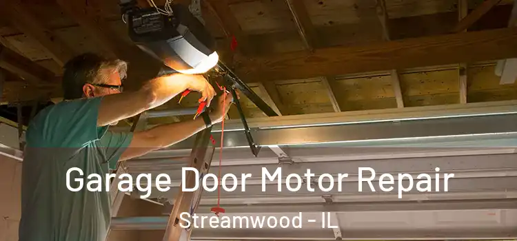  Garage Door Motor Repair Streamwood - IL