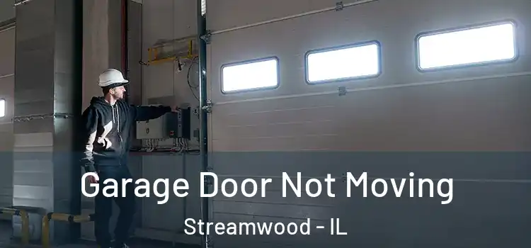  Garage Door Not Moving Streamwood - IL