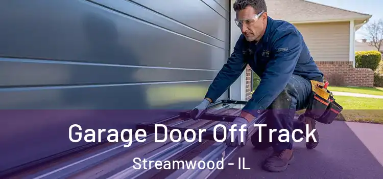  Garage Door Off Track Streamwood - IL