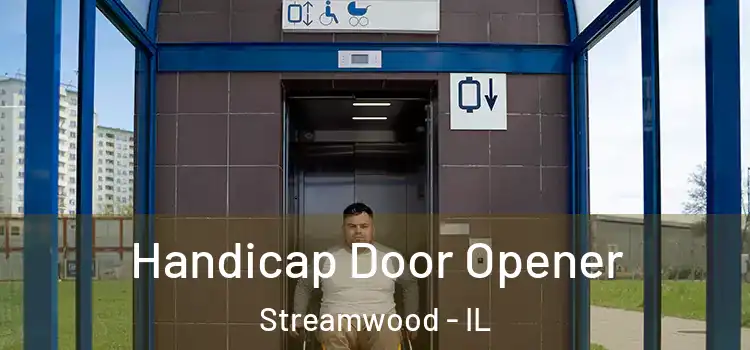  Handicap Door Opener Streamwood - IL