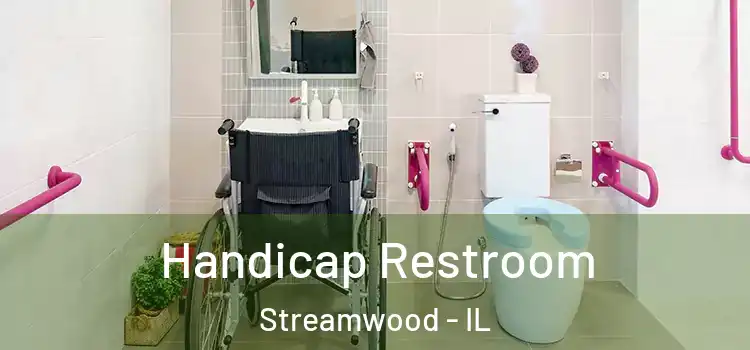  Handicap Restroom Streamwood - IL