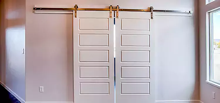 Glass Barn Door with Installation Hardware Kit Streamwood