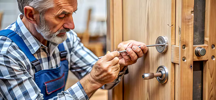 Mortise Replacement Lock Streamwood