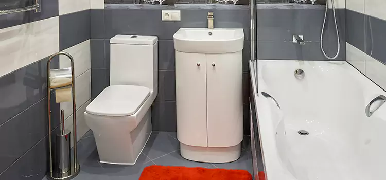 Hansgrohe Shaving Mirror Streamwood