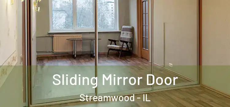  Sliding Mirror Door Streamwood - IL